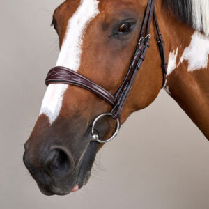 US Collection Anatomic Noseband without Flash