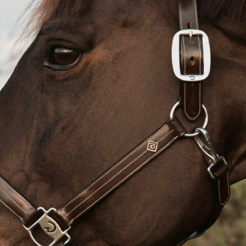 Dy'on US Halter WO09E