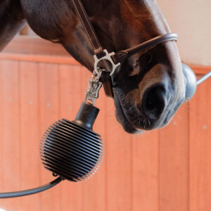 Lead and Wall Protection Rubber Ball Pro