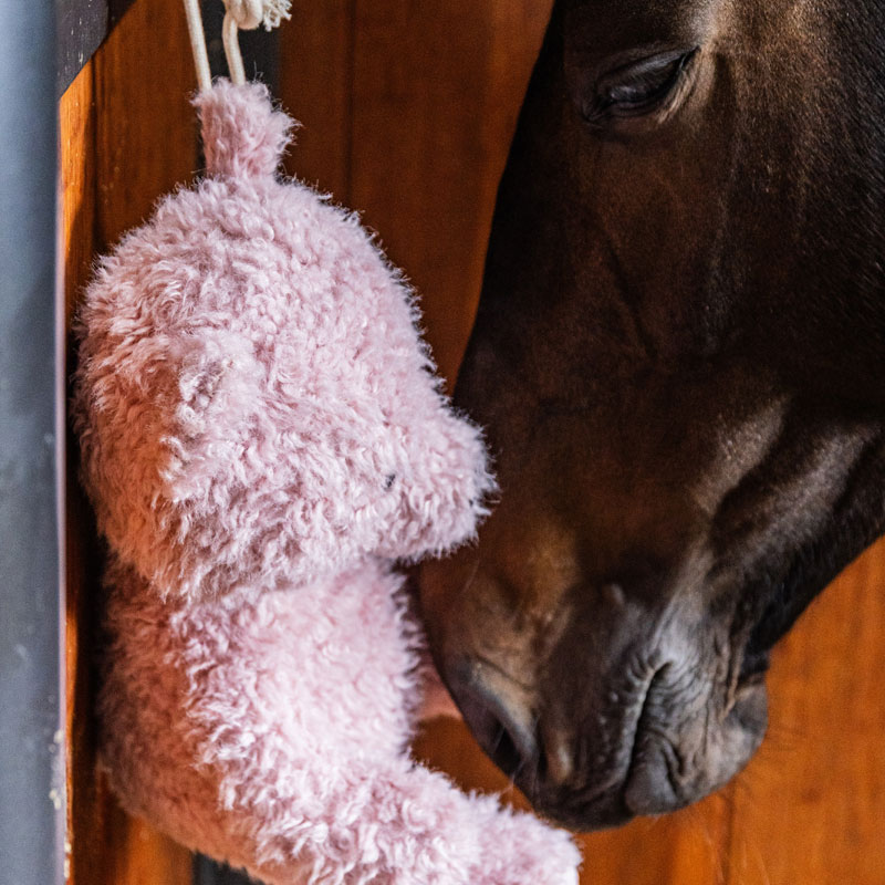Kentucky Relax Horse Toy Bear 1 Relax Horse Toy Bear