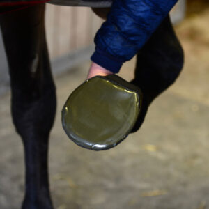 Kentucky Horsewear Sole Tape 5pcs