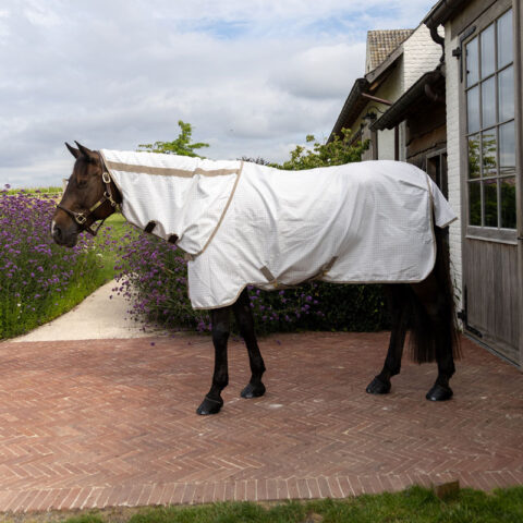 Kentucky Sweet Itch Fly and Summer Sheet Comfort