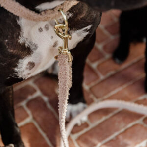 Teddy Fleece Dog Lead