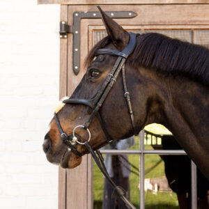 New English Plaited Fig 8 Bridle