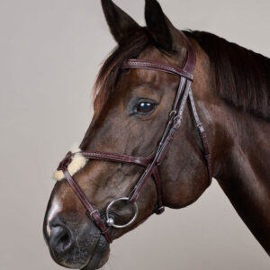 New English Plaited Fig 8 Bridle
