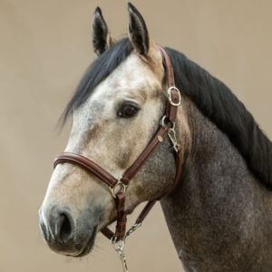 Soft Leather Halter