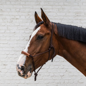 Grooming Deluxe Rope Halter