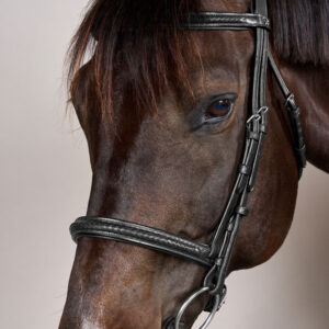 New English Plaited Noseband Bridle Without Flash