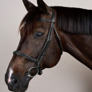 New English Plaited Noseband Bridle Without Flash