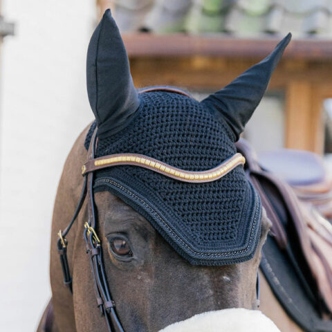 Dy'on Collection V-Shaped Clincher Browband Brass