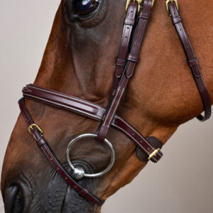 Dy'on Flash Noseband Bridle DY-10002-