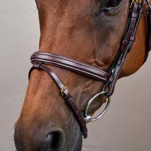 Dy'on Flash Noseband Bridle DY-10002-