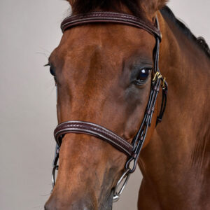 Dy'on Plaited Noseband Bridle Without Flash DY-10001-