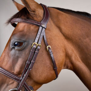 Dy'on Plaited Noseband Bridle Without Flash DY-10001-