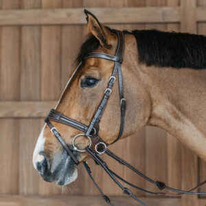 Dy'on Working Motion Bridle WOCCCW-
