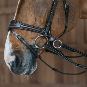 Dy'on Working Motion Bridle WOCCCW-