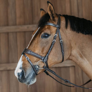 Dy'on Working Motion Bridle WOCCCW-