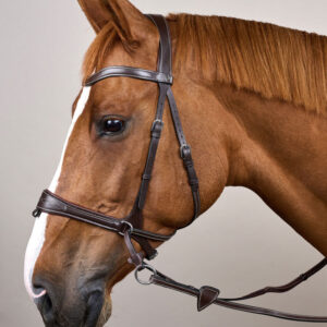 Dy'on Working Motion Bridle WOCCCW-