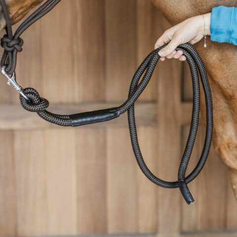 Working Lead Rope with Removable Snap