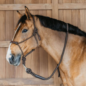 Working Lead Rope with Removable Snap