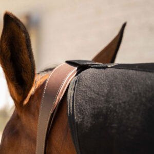 Fleece Rug with Neck 52250