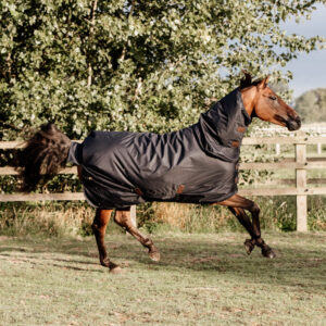 Turnout Rug All Weather Waterproof Classic - Black