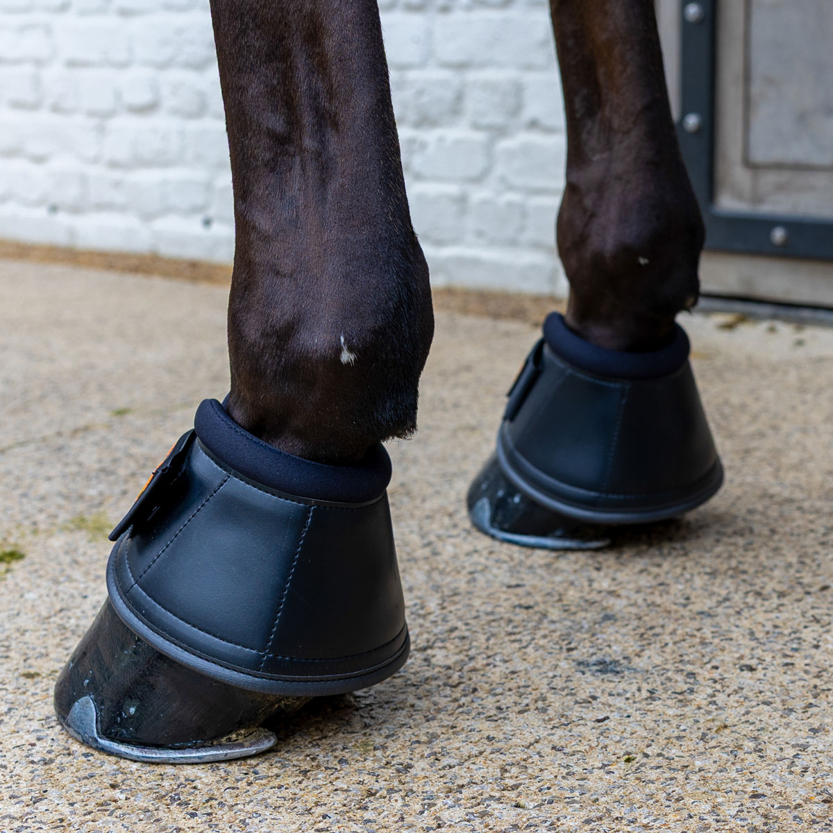 Kentucky Horsewear Overreach Boots Pro 1 Kentucky Horsewear Overreach Boots Pro Black On A Horse From Side View 84196-01-2