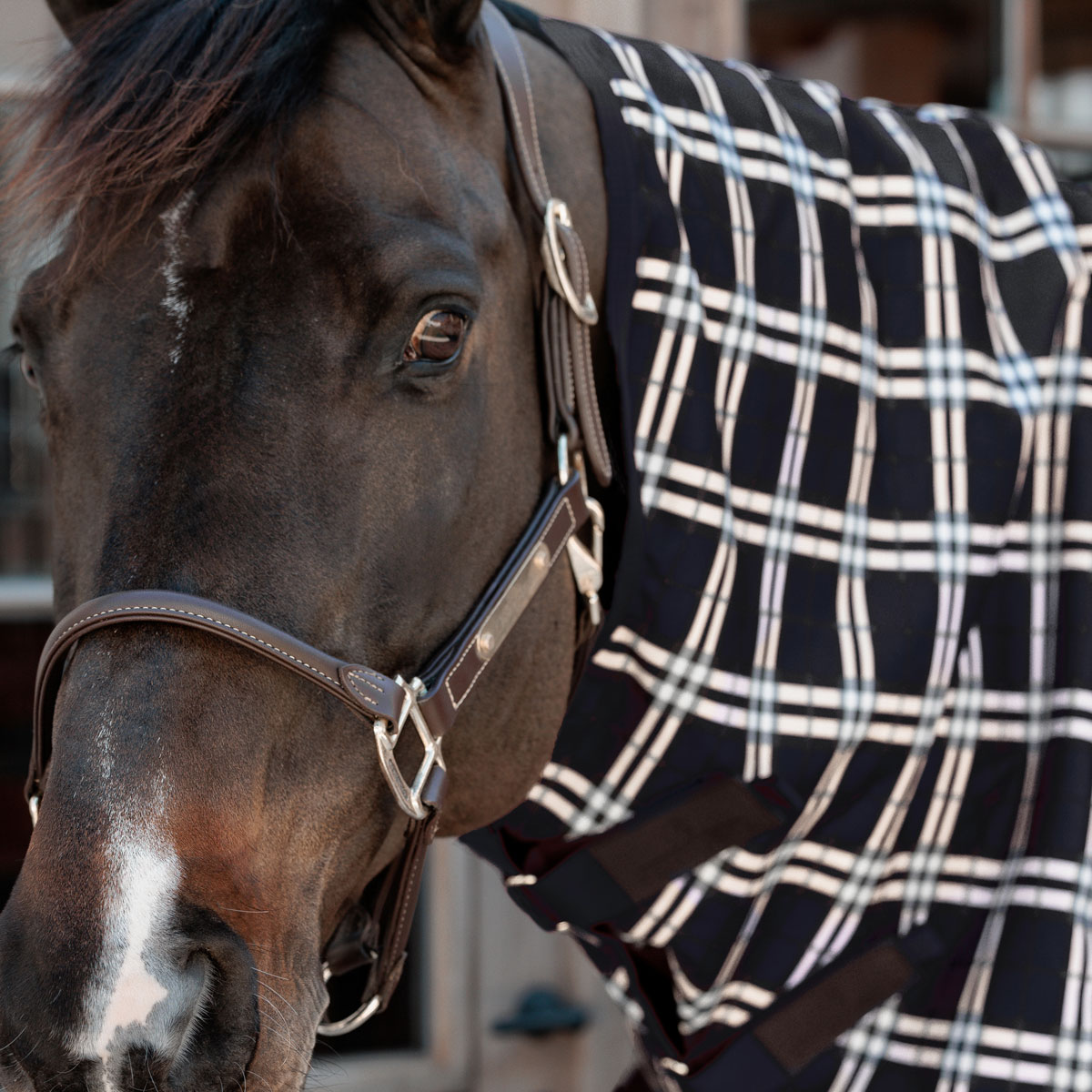 Neck All Weather Waterproof Comfort Navy Check 2 Neck All Weather Waterproof Comfort Navy Check - Image 2
